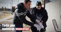 Pocito: exitoso operativo de tenencia responsable de mascotas en el Barrio Olivares del Sur