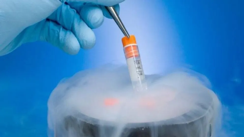 Fertilización asistida: nació el primer bebé con embriones criopreservados