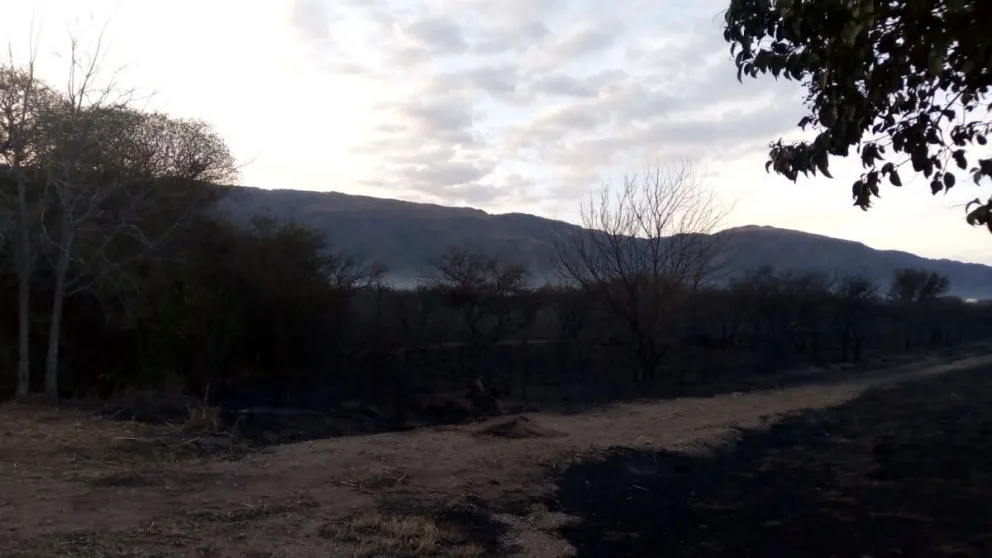 Incendio en Carpintería: “estamos decididos y abocados a llegar al fondo de la cuestión”