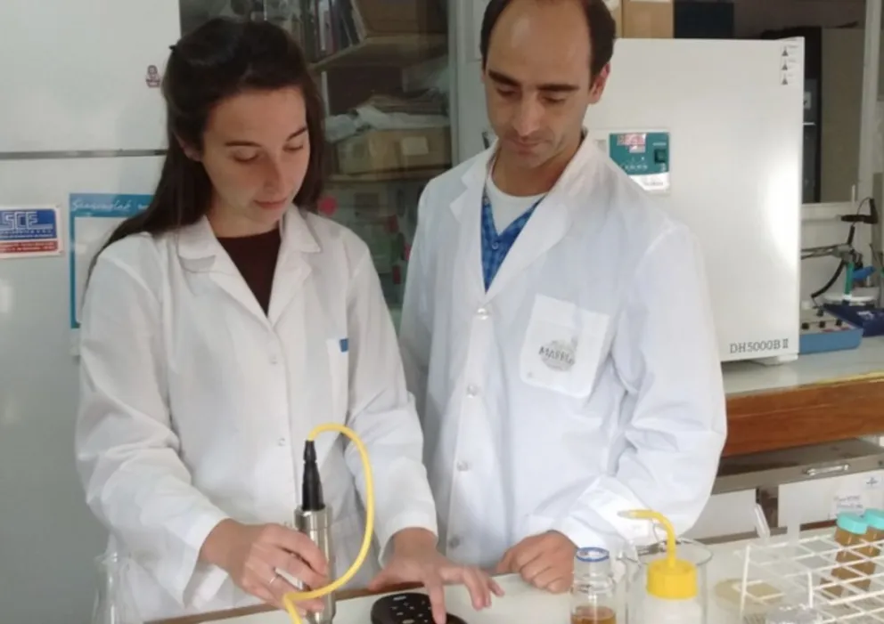 Investigadores buscan controlar microorganismos que afectan a la calidad de la cerveza artesanal