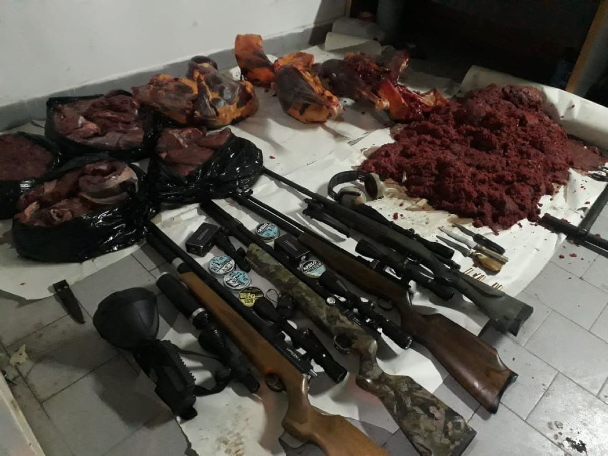 Carne de guanaco y choiques fueron incautadas