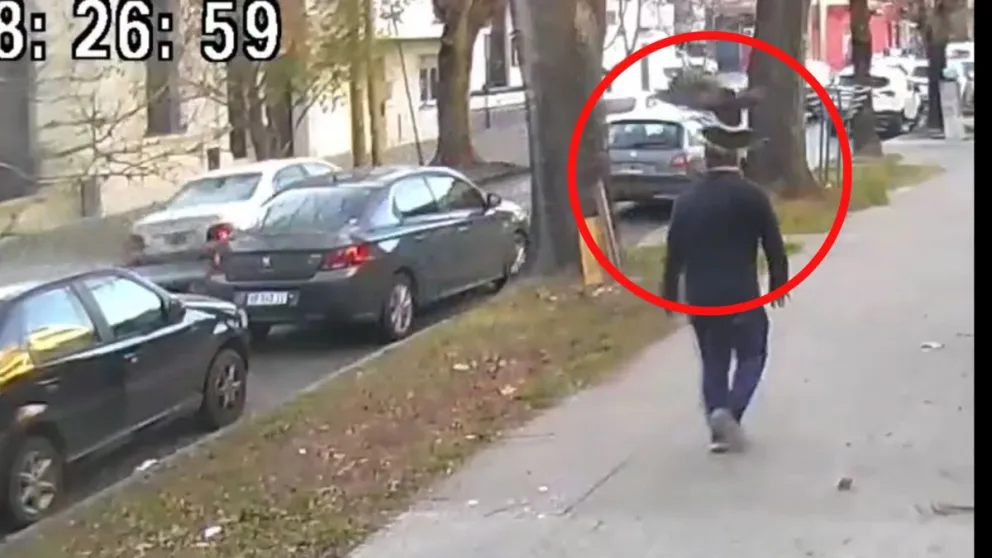 Video: la increíble reacción de un transeúnte al ser atacado por un ave en el centro de La Plata