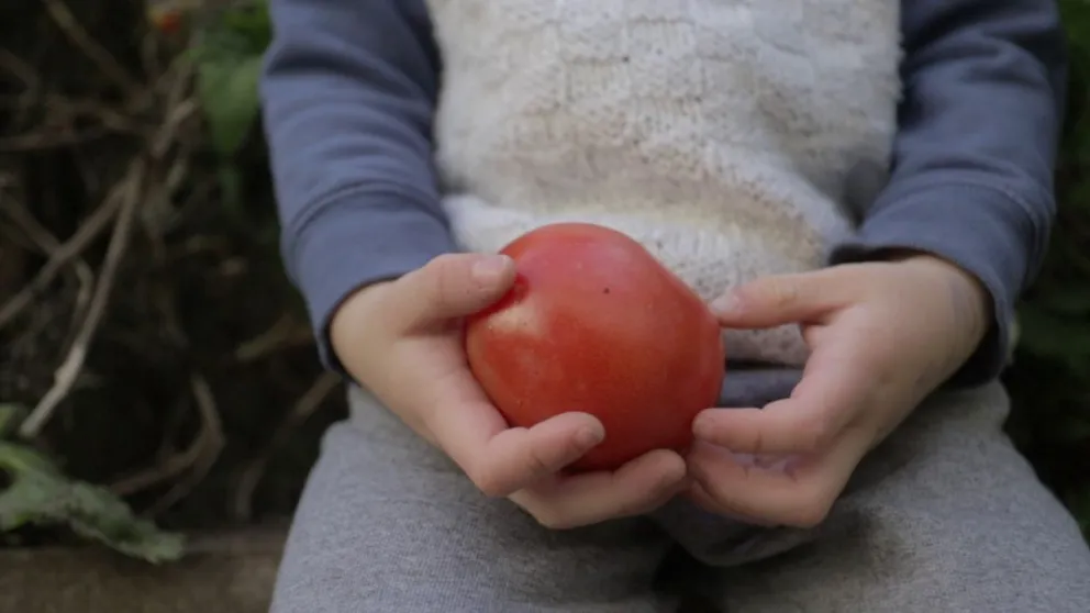 Río Negro distribuirá módulos de frutas y hortalizas