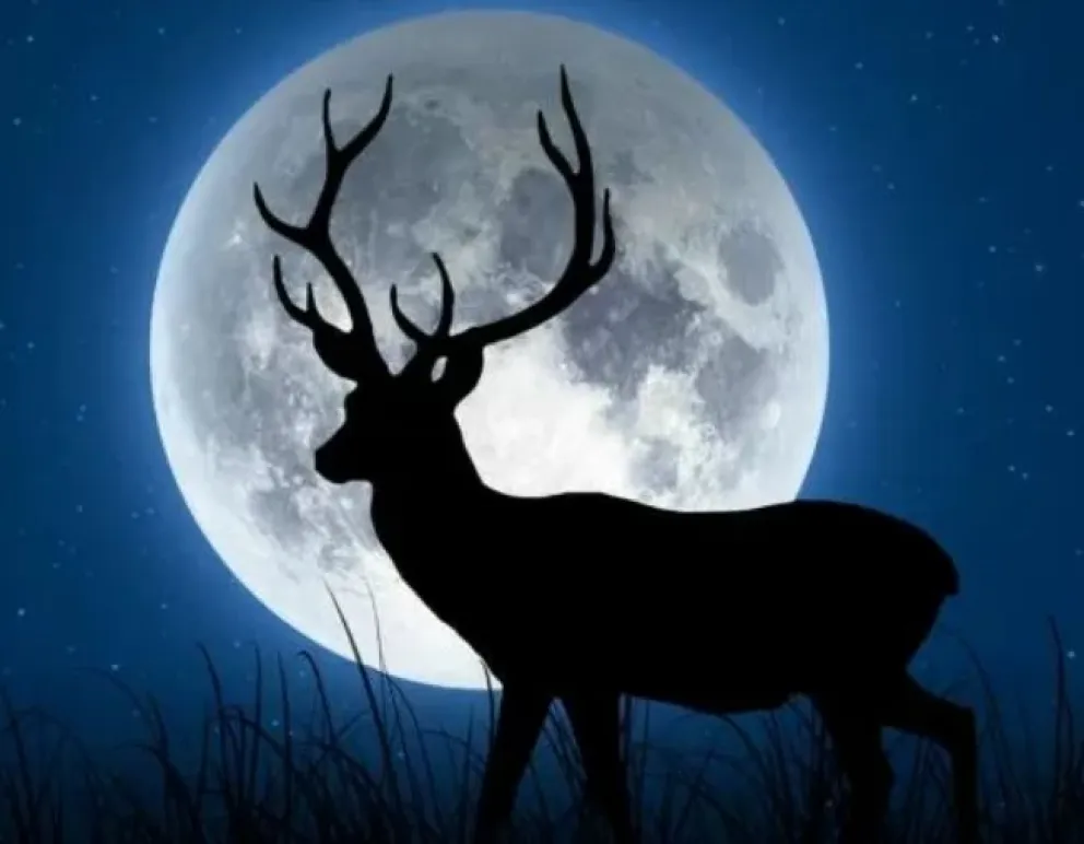 Superluna de Ciervo: cuáles son los signos que serán beneficiados en el amor y el dinero