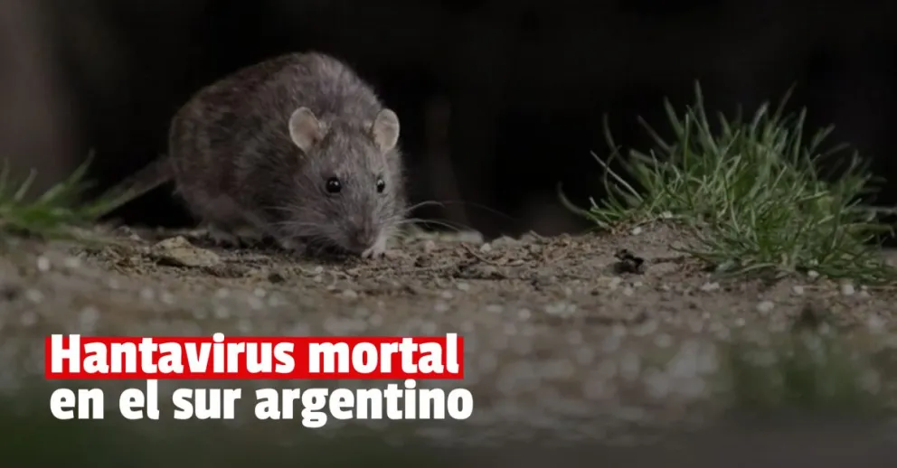 Una nena de 8 años murió por hantavirus en Chubut