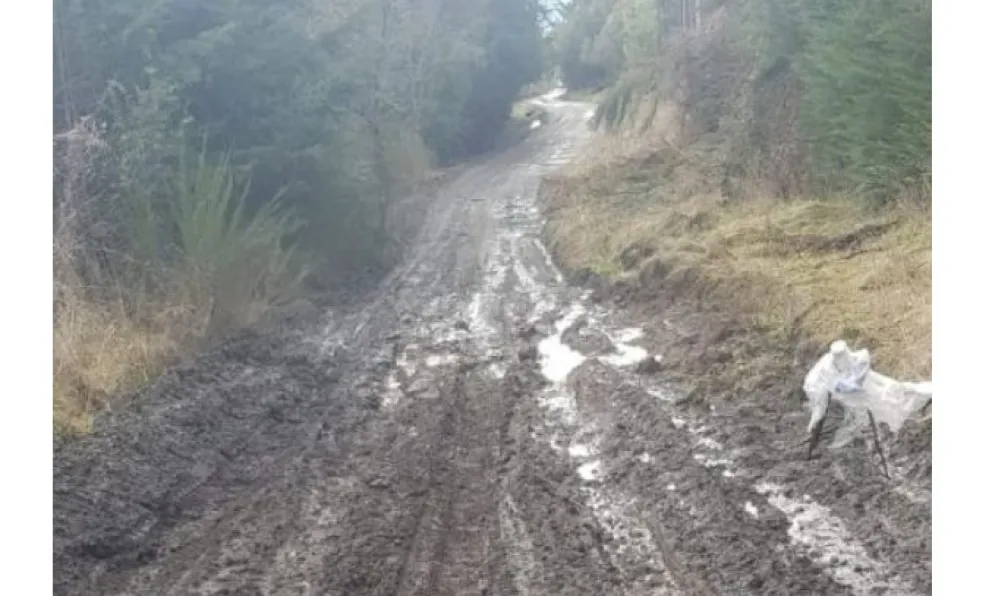 Preocupación por el mal estado de los caminos rurales