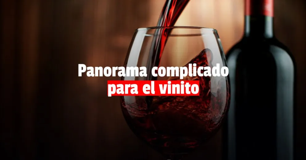 Hubo una importante caída en la venta de vinos al exterior