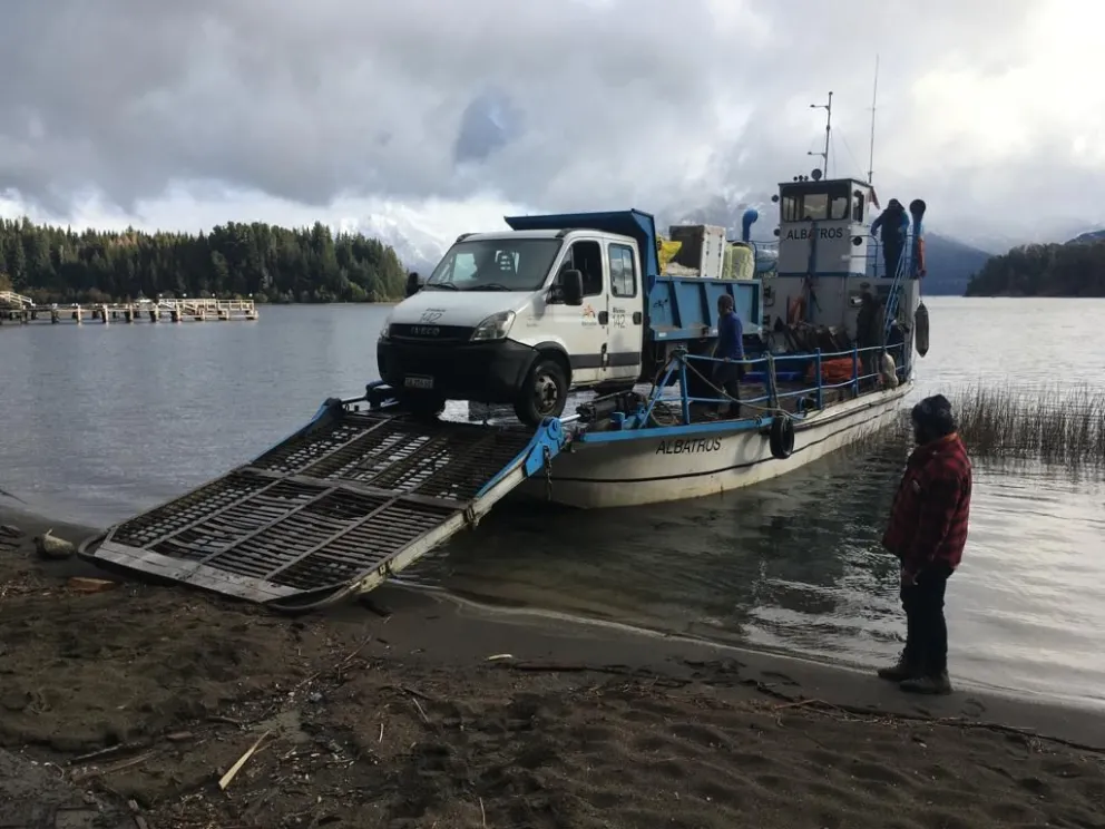 Colocarán 1500 plantas autóctonas de la isla Victoria en la ciudad