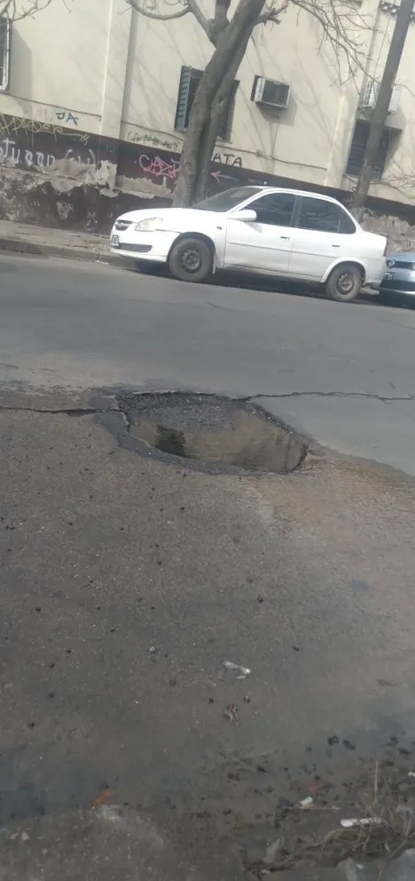 Solo faltan los patos para decorar "la laguna" del centro de la Ciudad: salteña cuestiona el trabajo de Aguas del Norte