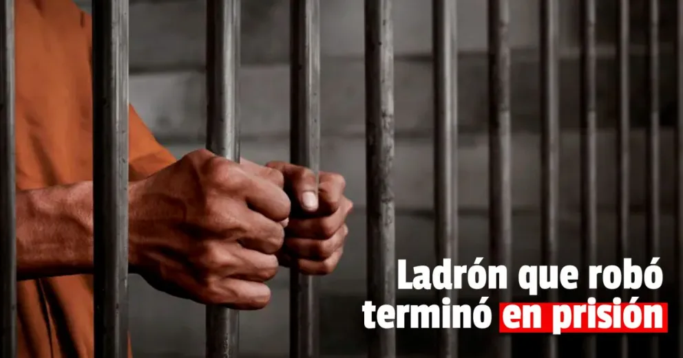 Más de tres años de prisión para un ladrón que le robó la cartera a una mujer 
