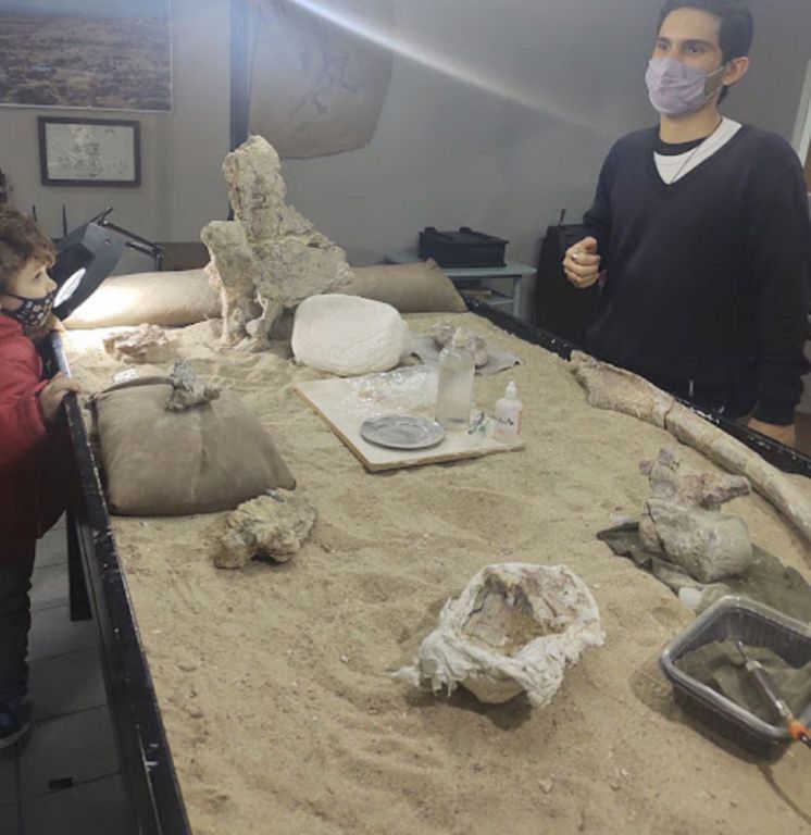 Jornadas de capacitación en patrimonio arqueológico y paleontológico de Río Negro