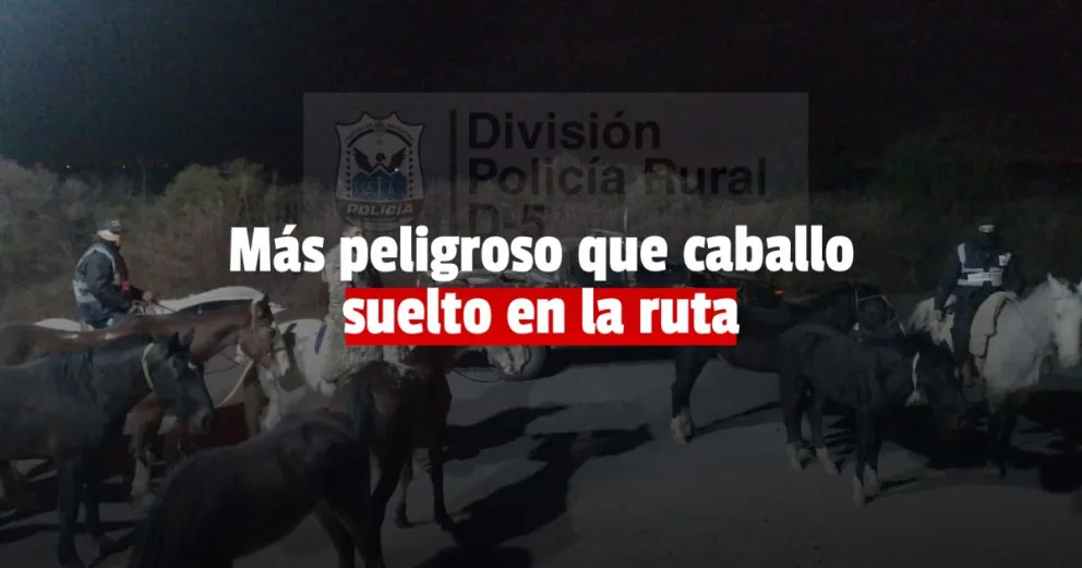 Rescataron a una gran cantidad de caballos sueltos en la ruta 