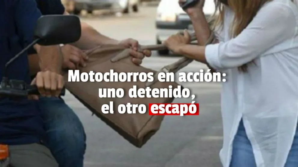 Entre cuatro detuvieron a un motochorro que le robó la cartera a una mujer 