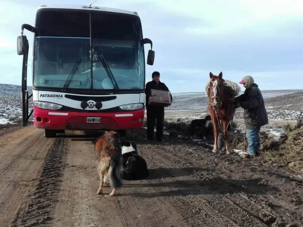 ¿Necesitas viajar a la Línea Sur desde Roca? Estos son los horarios