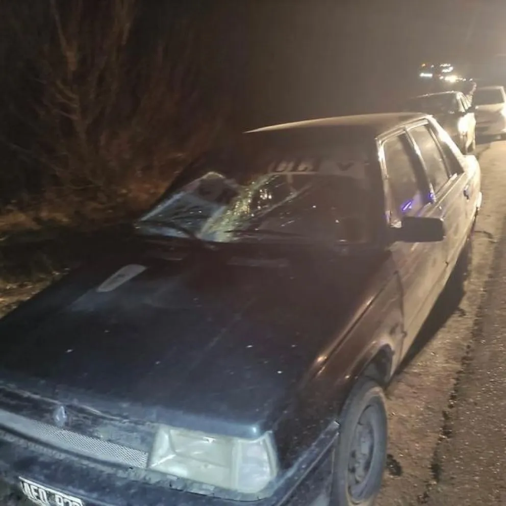 Otra vez un caballo suelto fue protagonista de un accidente sobre la Ruta Nacional 40