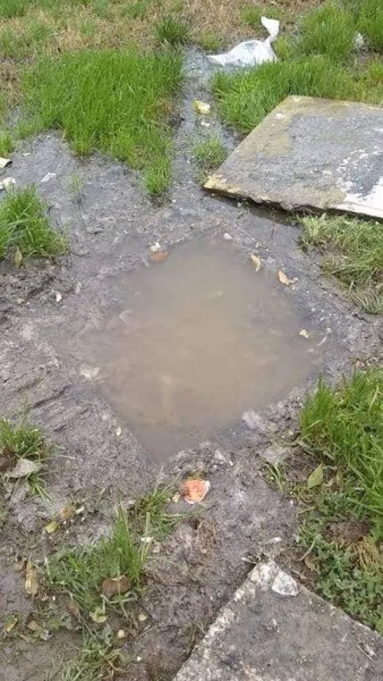 El DPA avisa cómo reclamar por deficiencias en los servicios públicos sin recibir represalias