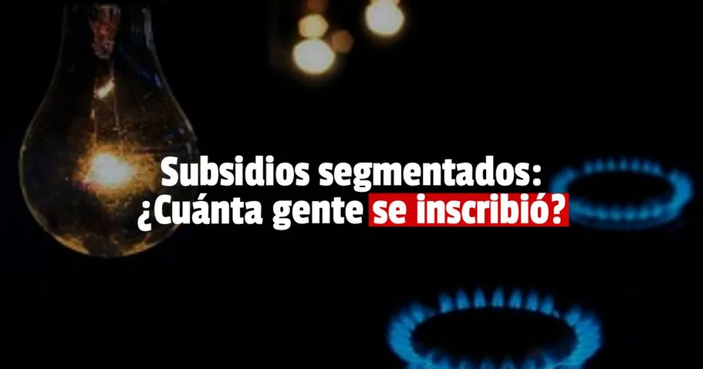 Segmentación de subsidios: ya se suscribieron más de medio millón de argentinos