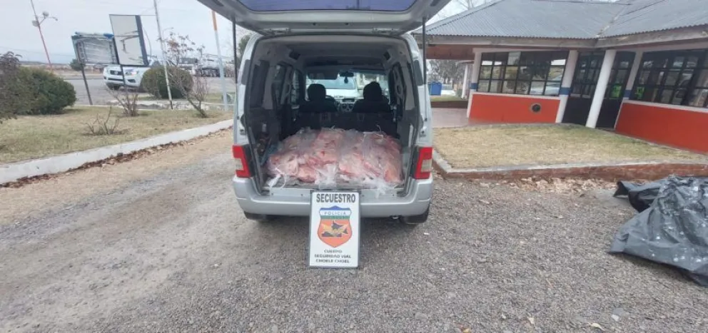 Rígidos controles permitieron secuestrar 25 costillares de vaca 