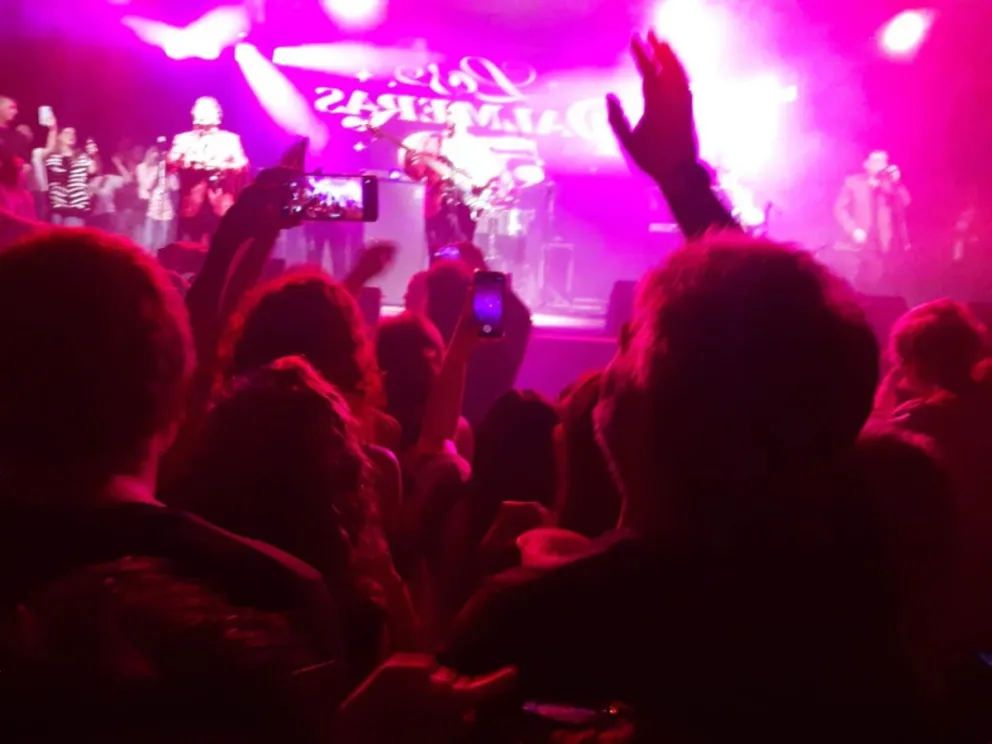 Uno de los organizadores del show de Los Palmeras confirmó que fueron víctimas de un robo