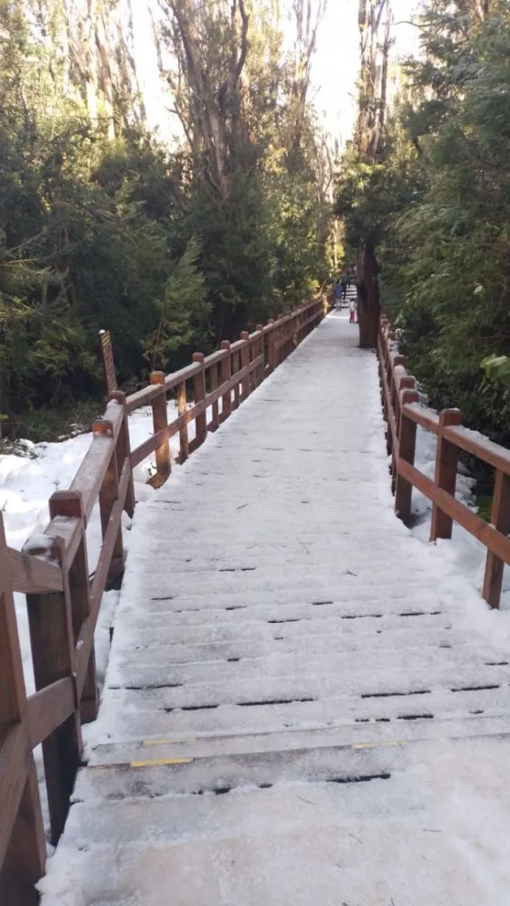  Cierre de pasarelas del Bosque de Arrayanes