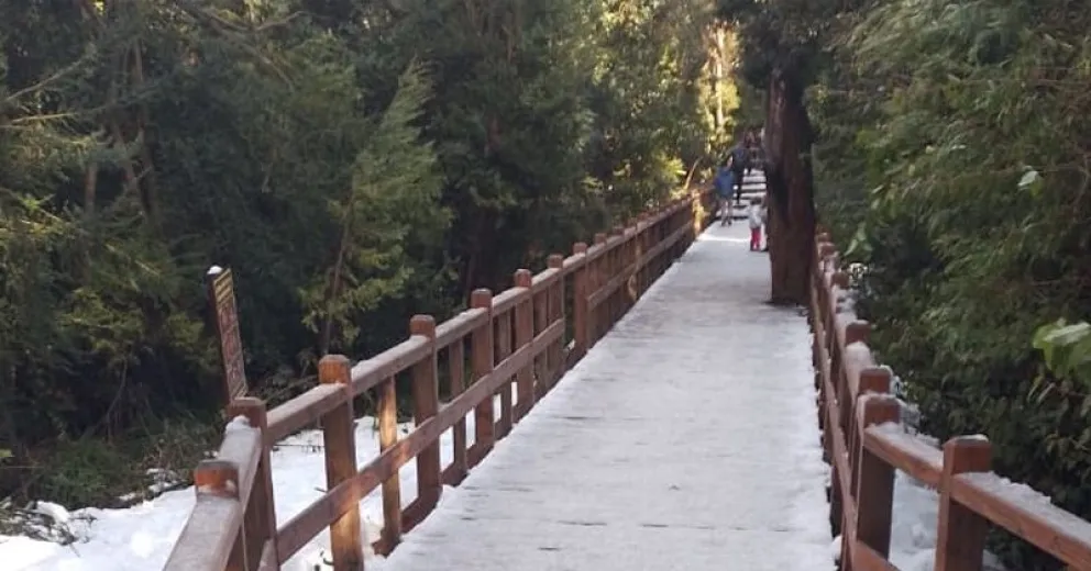 Cierran este martes el circuito de pasarelas del Bosque de Arrayanes