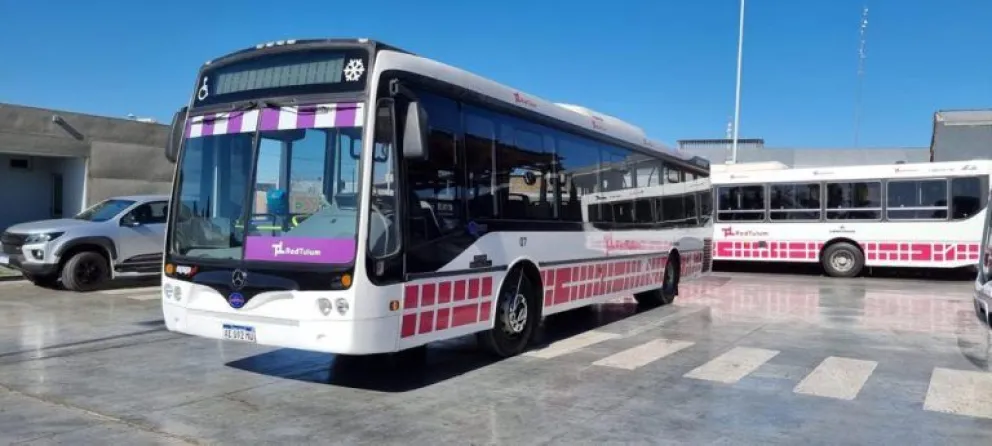 Previo a la audiencia, el Municipio testea unidades de piso bajo por la ciudad 