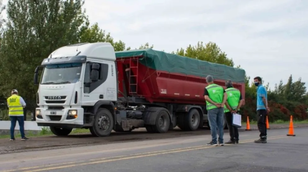 Por mes, se contrabandea más de un millón de toneladas de soja