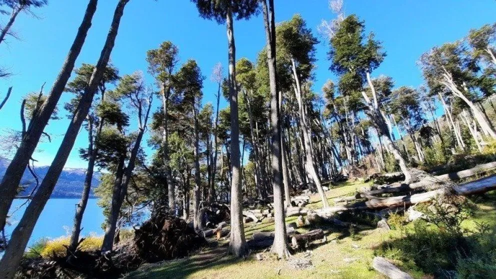 Vecinos de Traful juntan firmas para impedir la venta de una Reserva Natural Costera