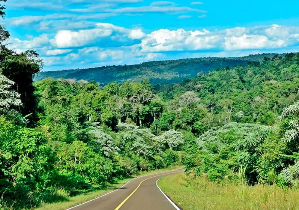 Misiones marca pautas de preservación y lanzó un plan 2022-2032 para bosques