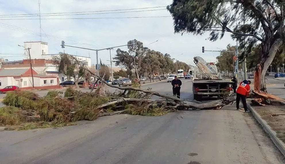 Prolongado corte de energía eléctrica en medio de un alerta naranja por viento