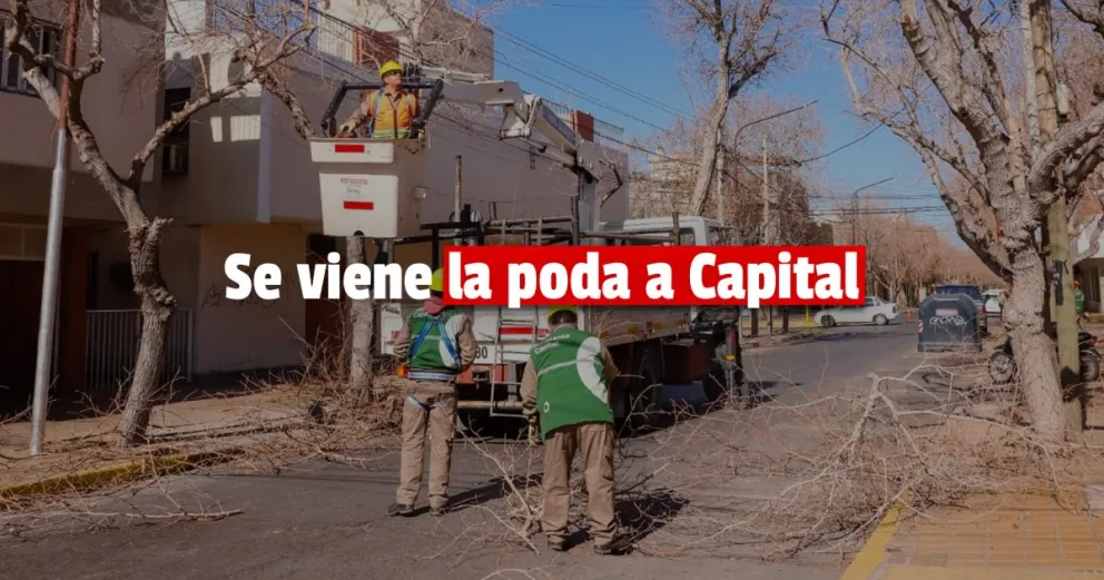 Arranca la poda en Capital 