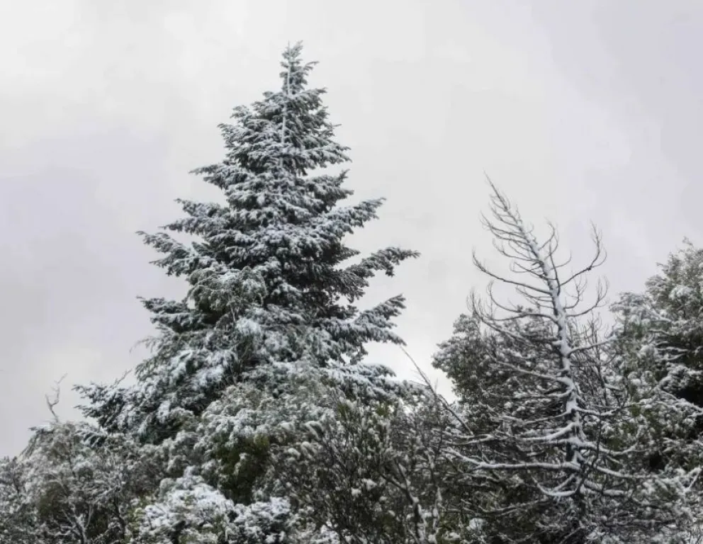 Cierran sendas por fuertes vientos, lluvias, y nevadas en los Parques Nacionales Nahuel Huapi y Los Arrayanes