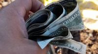 Insólito: encontraron una increíble cantidad de dólares en un basural