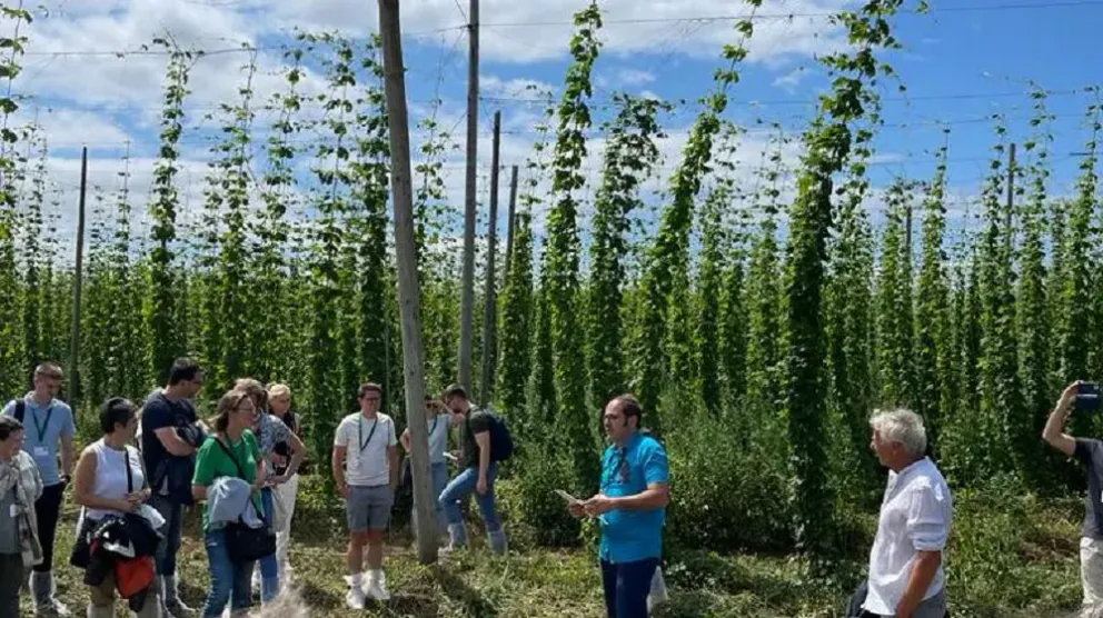 Productores locales participan en el Congreso Internacional de Lúpulo