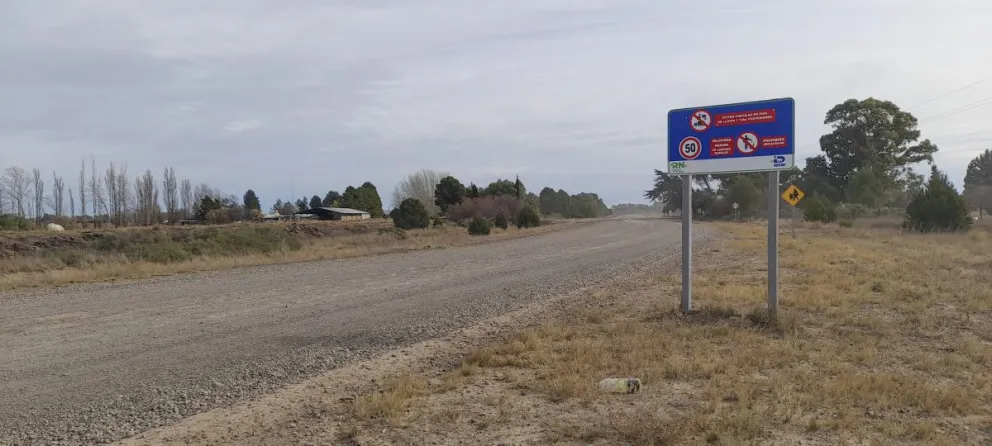 Desapareció "Bartolito", el cordero mascota de una Ong en la zona de chacras