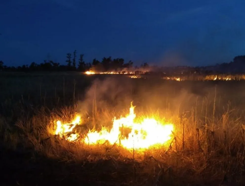 Un chacarero del IDEVI prendió fuego y la quema salió de control