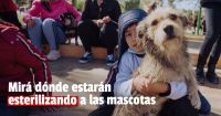 Rivadavia: habrá esterilización de mascotas 