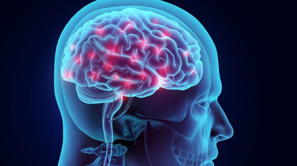 Recomiendan proponer desafíos al cerebro para evitar patologías