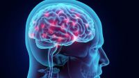 Recomiendan proponer desafíos al cerebro para evitar patologías