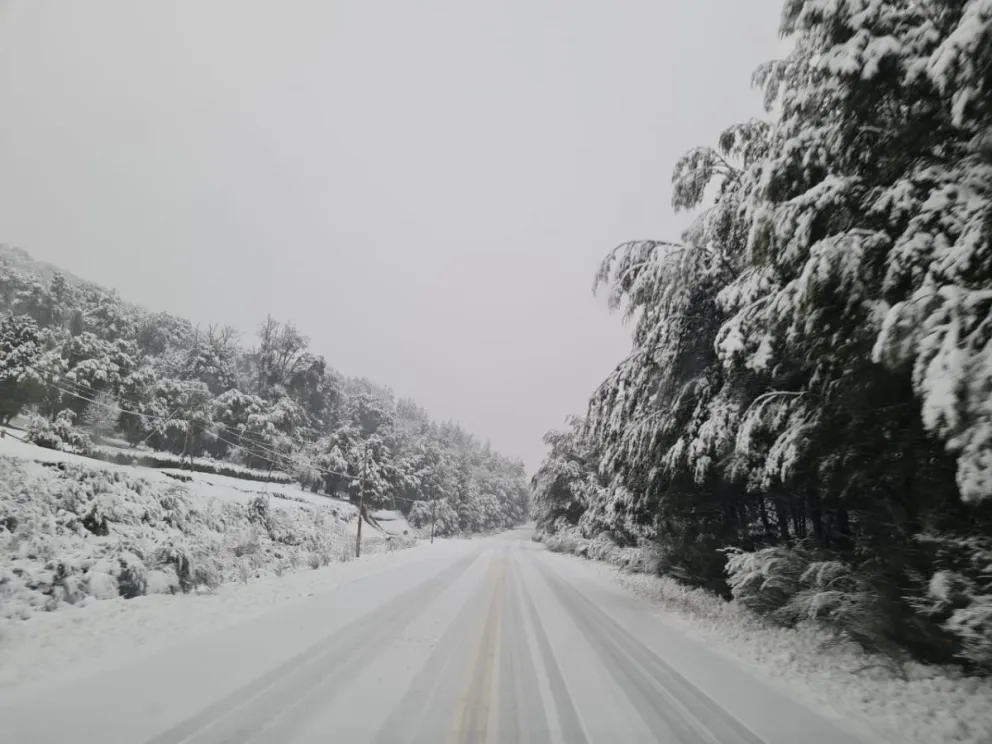 Uso de cadenas obligatorio en las rutas de la zona 