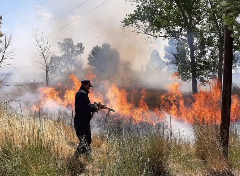 Incendios: crece el compromiso con la prevención, y en paralelo se observan conductas irresponsables