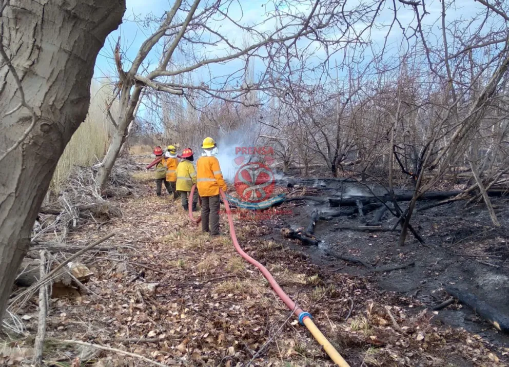 Bomberos Voluntarios realizaron cuatro intervenciones en un día 