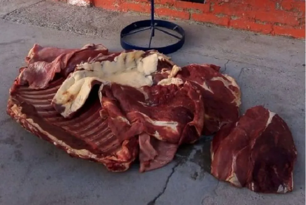 Lo sorprendieron con 150 kilos de carne de potro en Paso Córdoba