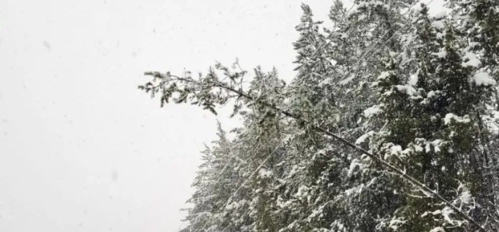 Temporal de nieve afectó el servicio eléctrico de El Bolsón y alrededores