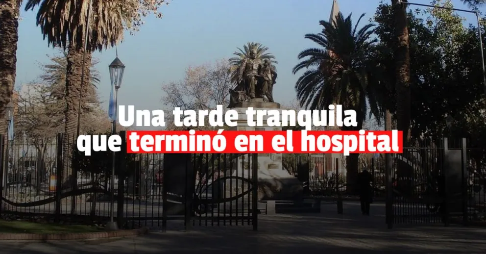 Dos adolescentes fueron golpeadas en Plaza 25 y debieron ser internadas  