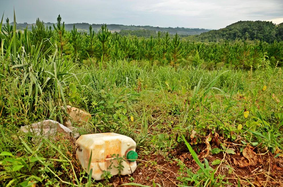 Ingenieros forestales piden más tiempo para erradicar glifosato