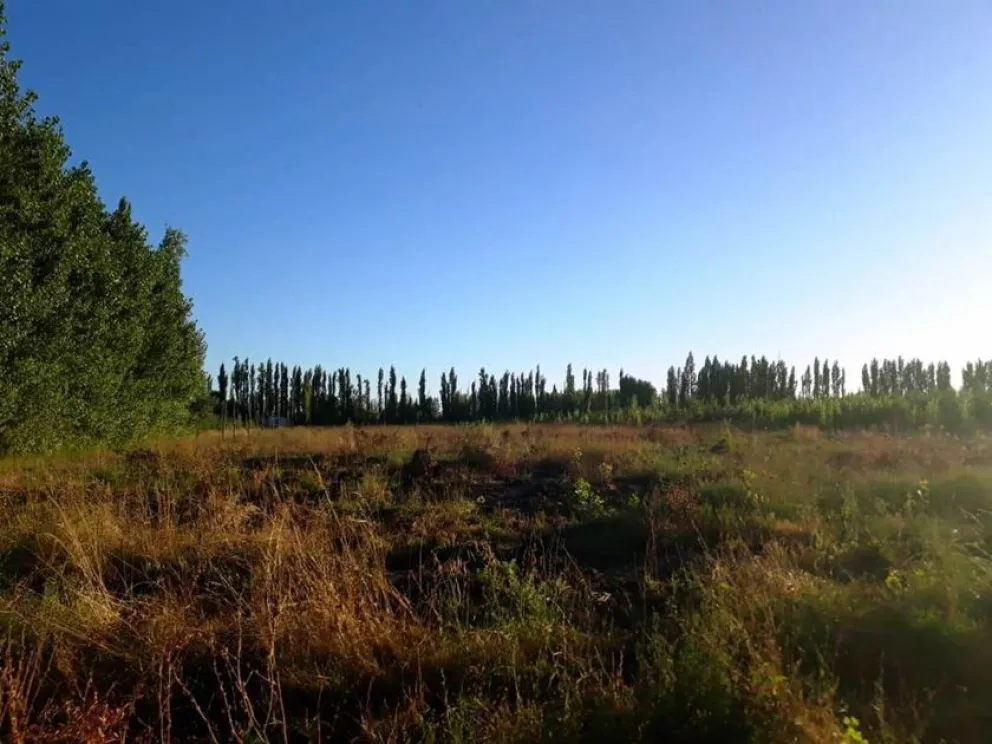 No se salva nadie: robaron varios elementos de un campo 