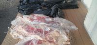 200 kilos de carne fueron decomisados en Puente Dique 