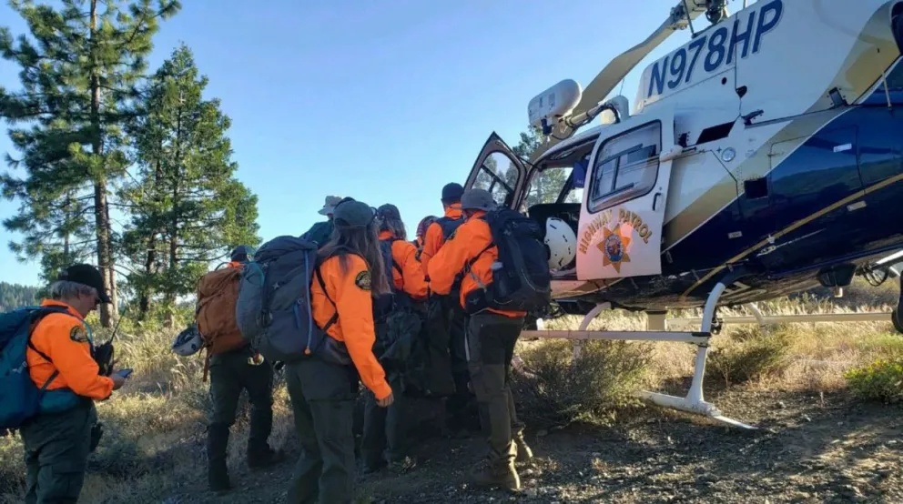 Increíble: un perro ayudó a rescatar a su dueño en un bosque de California