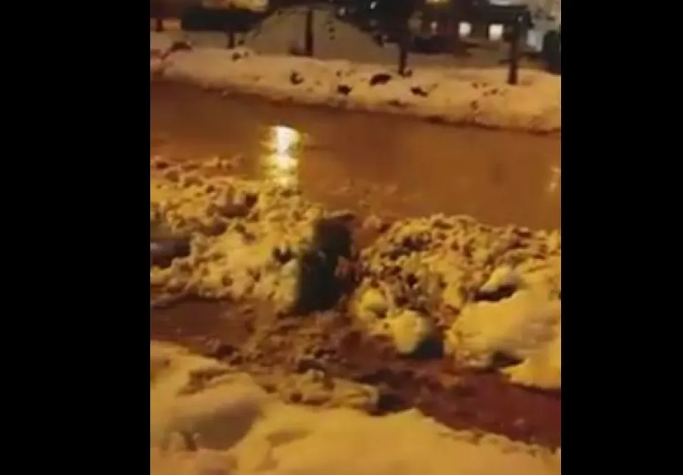 Se inundó la calle Calfu Co, en El Frutillar 